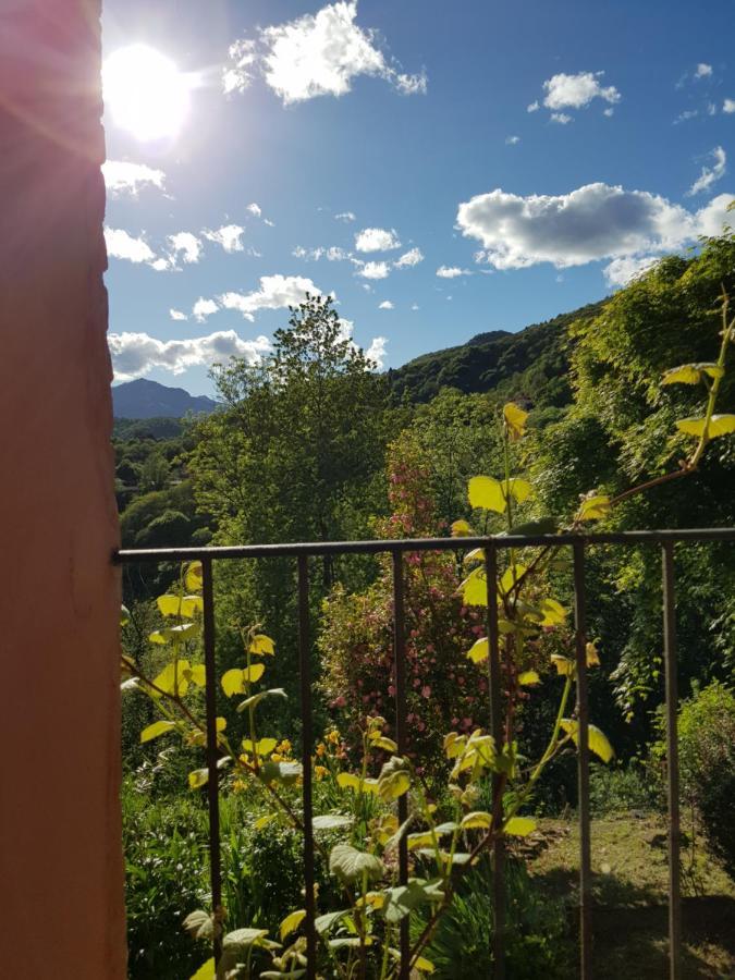 Appartamento Nel Verde Mosso Santa Maria Exterior foto