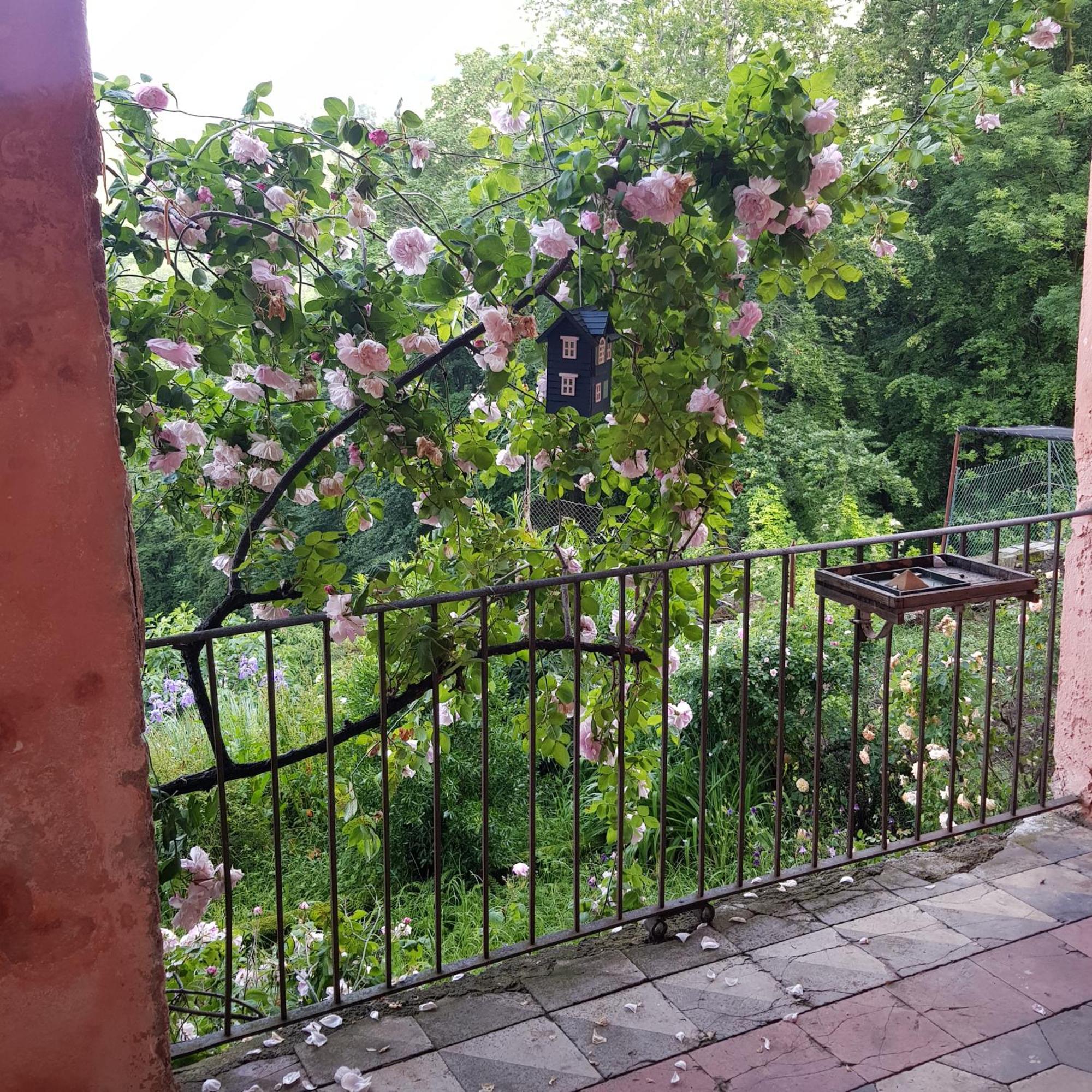 Appartamento Nel Verde Mosso Santa Maria Exterior foto